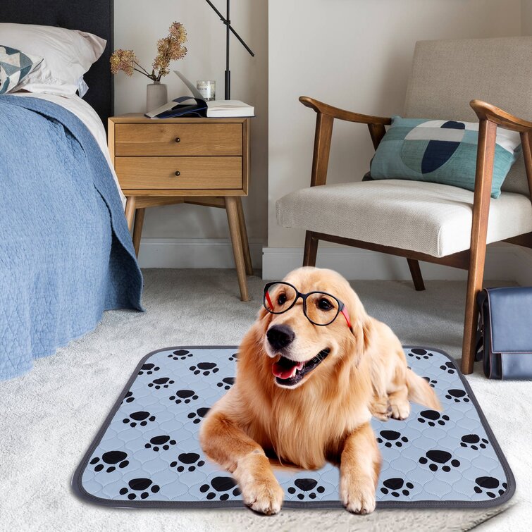 Washable puppy outlet pad